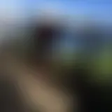 Mitrililie