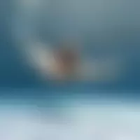 Adameve005