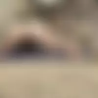 Coupledebutant