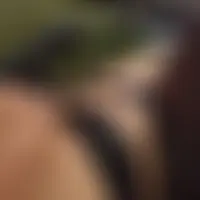Jima2