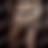 Moiiettoii25