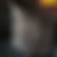 Moi31