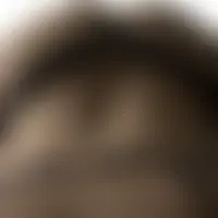 Clpexhib