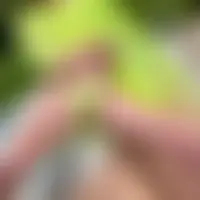 Twobi61