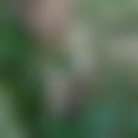Twobi61