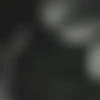 Sexycorse2a