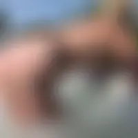 Twobi61