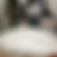 Lysiev