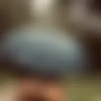 Moiiettoii25
