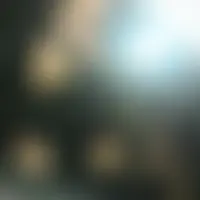Tiril