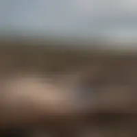 Cplecool78