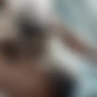 Erotico83