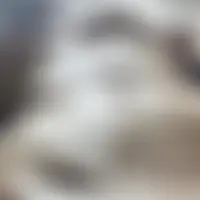 Mattxv20