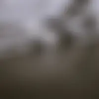 Erico300