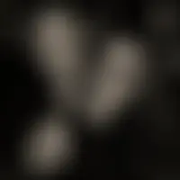 Lipa